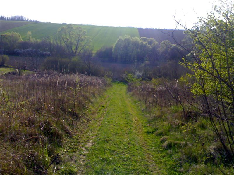 200704091835 .jpg